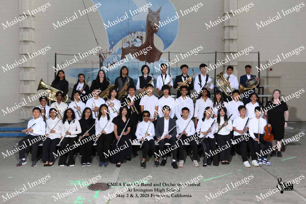Musical Images